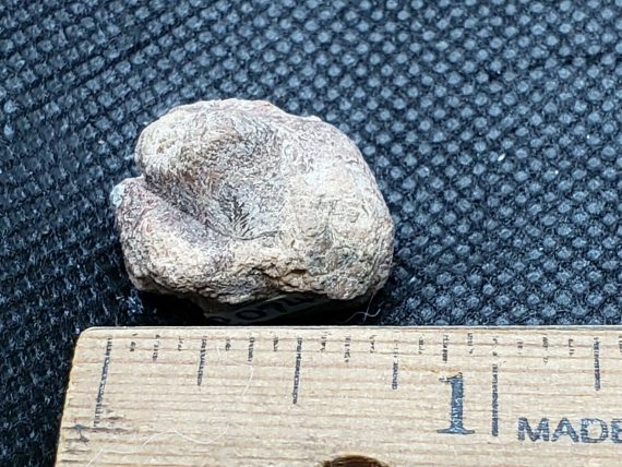 rare-crystal-of-thorite-specimen