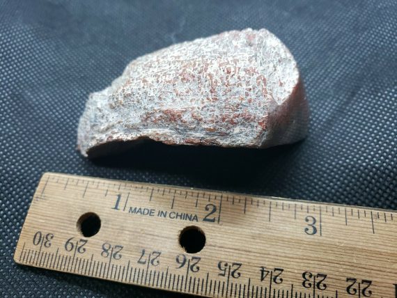 beautiful-red-brown-dinosaur-bone-specimen
