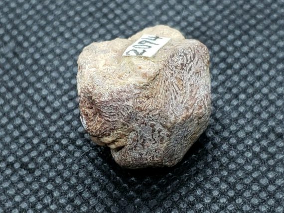 Rare Crystal of Thorite Specimen