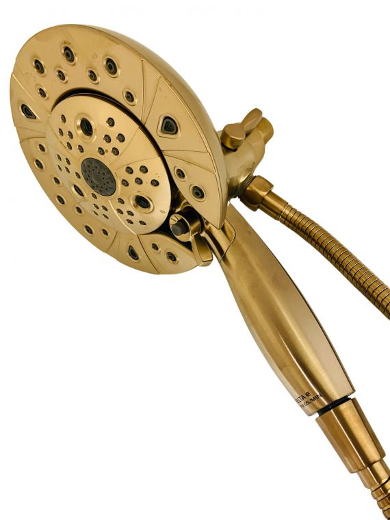 Delta 58480CZPK In2ition 2in1 5Spray Hand Shower and