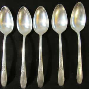 Wm Rogers GARDENIA Serving Spoon/Tablespoon Silverplate