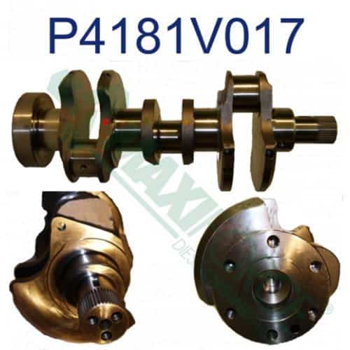 Crankshaft Kit – HCP4181V017