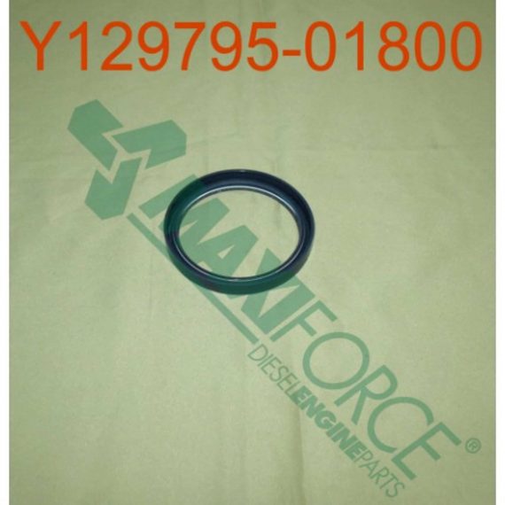 Front Crankshaft Seal – HCY129795-01800