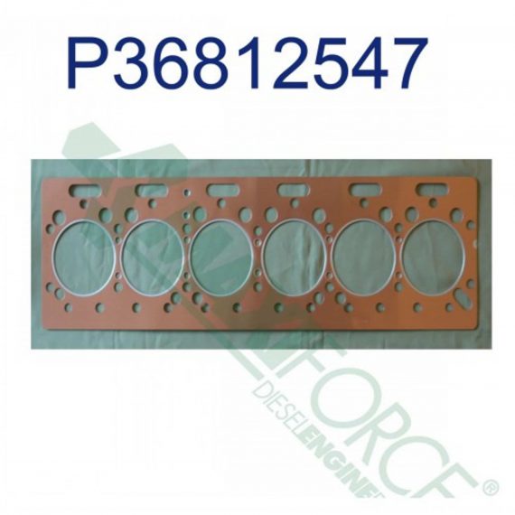 White Tractor Head Gasket HCP36812547