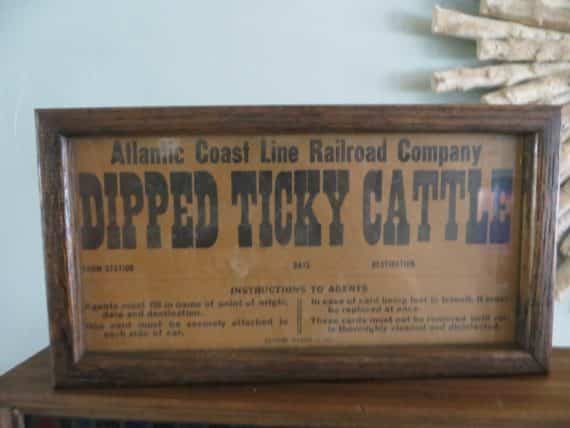 1915 Atlantic Coast Line Railroad Co.DIPPED TICKY CATTLE FROM STATION SIGN