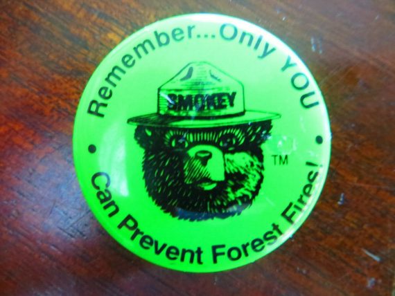 smokey-the-bearremember-only-you-can-prevent-forest-fires-green-pin-button-vtg