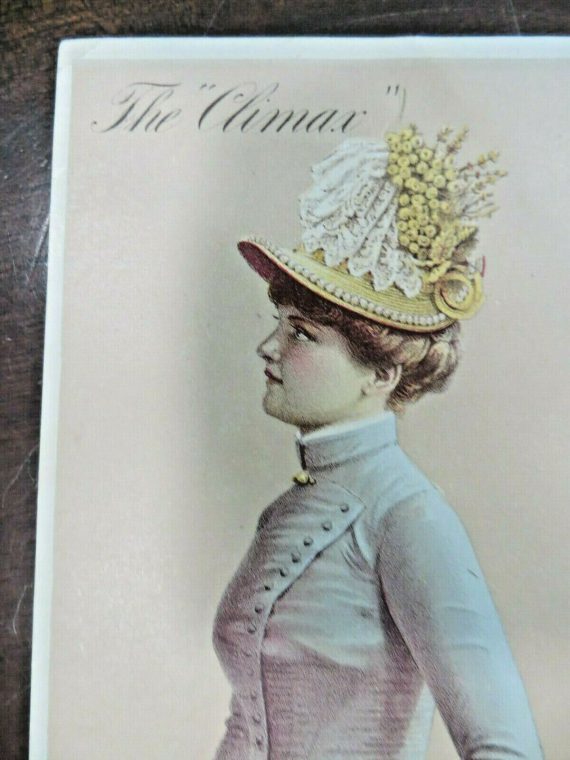 the-climax1886-n-y-millinery-picture-sales-blotter-card-victorian-portrait