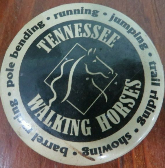 tennessee-walking-horses-pole-bending-running-showing-barrel-racing-showing-pin
