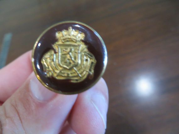 KINGS CROWN RAISED CLEAR COAT OF ARMS ANTIQUE  BUTTON