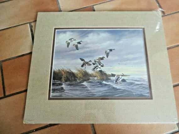 MAASS, DUCKS LANDING ON OPEN WATER NEXT TO CANE BEDS IN ROUGH WEATHER PRINT