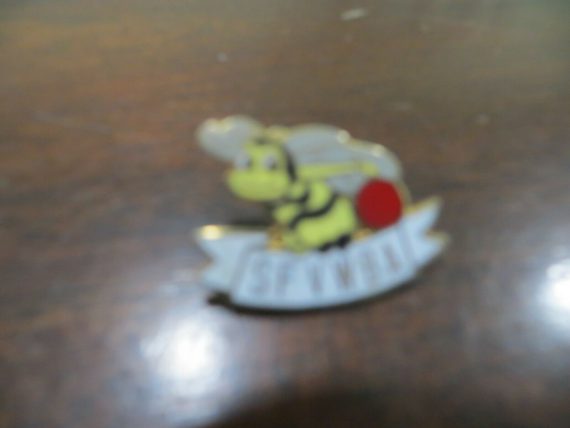 San Francisco Valley Women’s Bowling Association state Tournament official pin