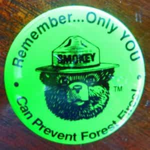 SMOKEY THE BEAR,REMEMBER ONLY YOU CAN PREVENT FOREST FIRES GREEN PIN BUTTON VTG