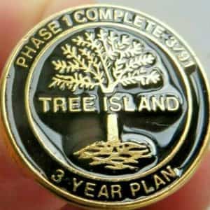 TREE ISLAND,PHASE 1 COMPLETE 1991, 3 YR PLAN AWARD BRITTISH COLUMBIA LAPEL PIN