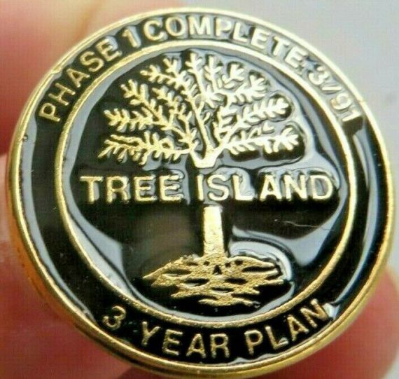 TREE ISLAND,PHASE 1 COMPLETE 1991, 3 YR PLAN AWARD BRITTISH COLUMBIA LAPEL PIN