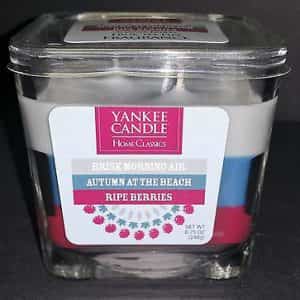 Yankee Candle Trio Brisk Morning Air Autumn at the Beach Ripe Berries  8.75 oz