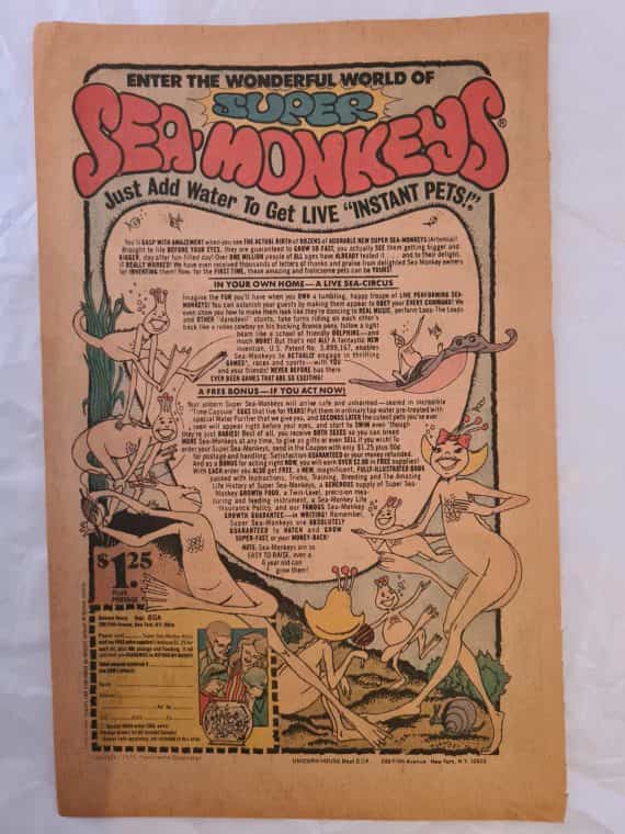 1975 SUPER SEA MONKEYS Print Ad Just Add Water to Get Live Instant Pets