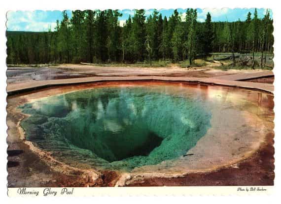 1970’s Morning Glory Pool Yellowstone National Park UNPOSTED Sanborn Souvenir Co