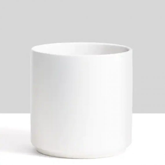 peach-pebble-pl-cp-cr-02-01-12-12-in-white-ceramic-indoor-planter-7-in-to-12-in