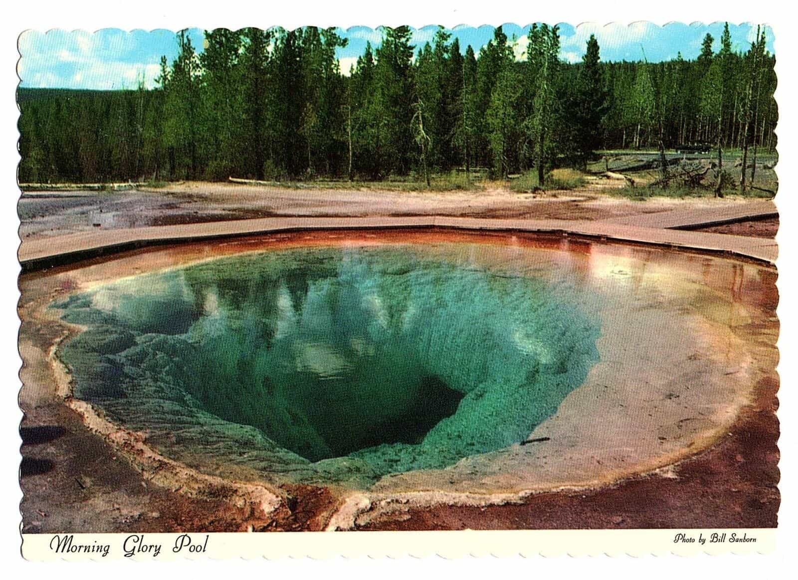 1970’s Morning Glory Pool Yellowstone National Park UNPOSTED Sanborn Souvenir Co