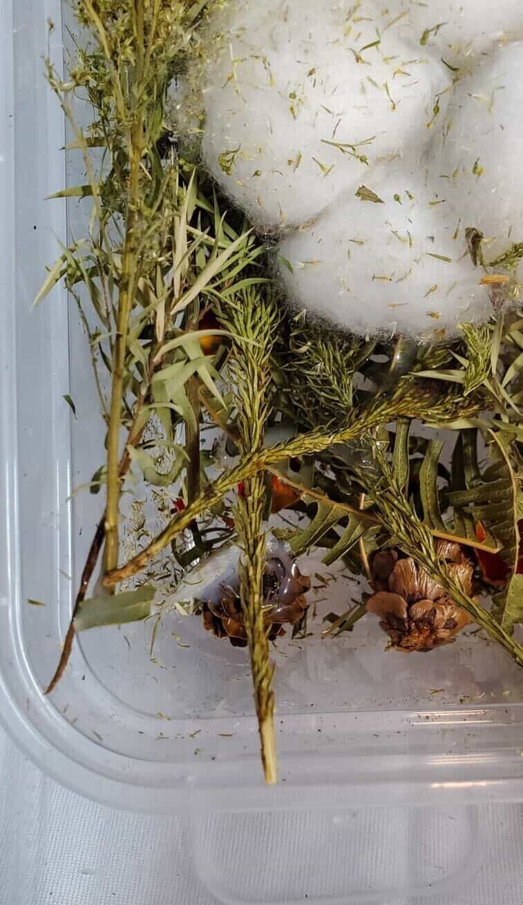 weaving-kit-late-autumn-wool-and-cotton-dried-botanicals