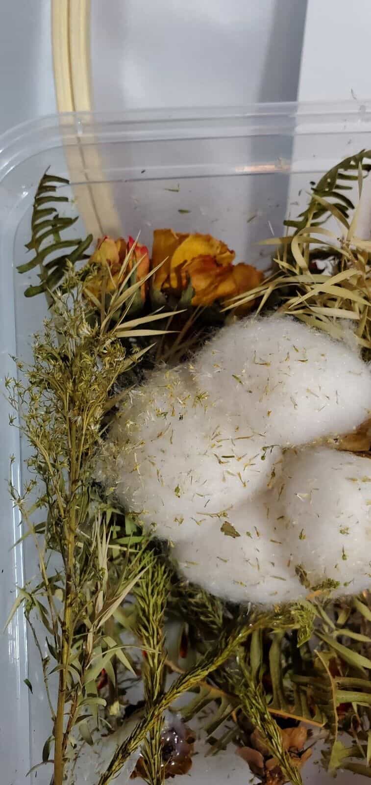 weaving-kit-late-autumn-wool-and-cotton-dried-botanicals