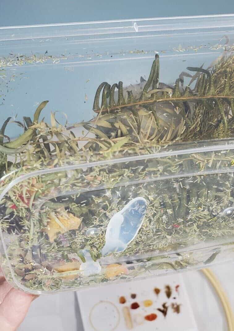 weaving-kit-late-autumn-wool-and-cotton-dried-botanicals