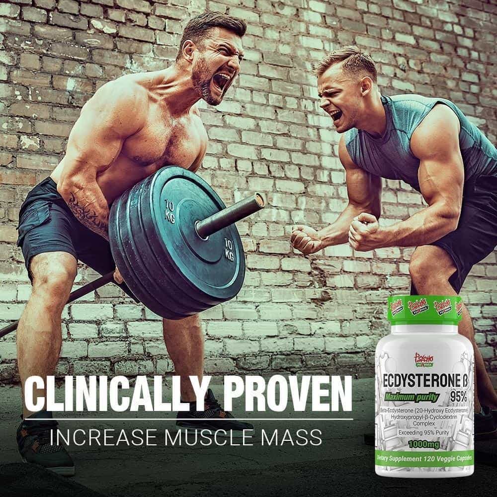 psycho-pharma-ecdysterone-120-caps-1000mg-maximum-purity-new