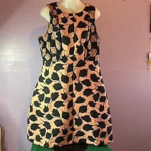 Ann Taylor Floral Rust/Black Sleeveless Rear Zip Dress Size 12