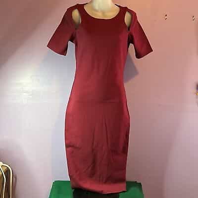 Fabletics Burgundy Rear Zip Dress Size XS