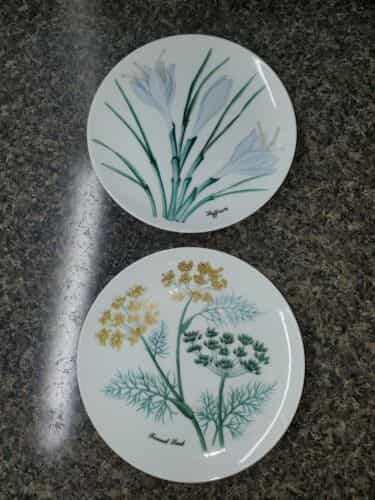 Set Of 2 Decorative Plates Horchow Herb Plates Japan