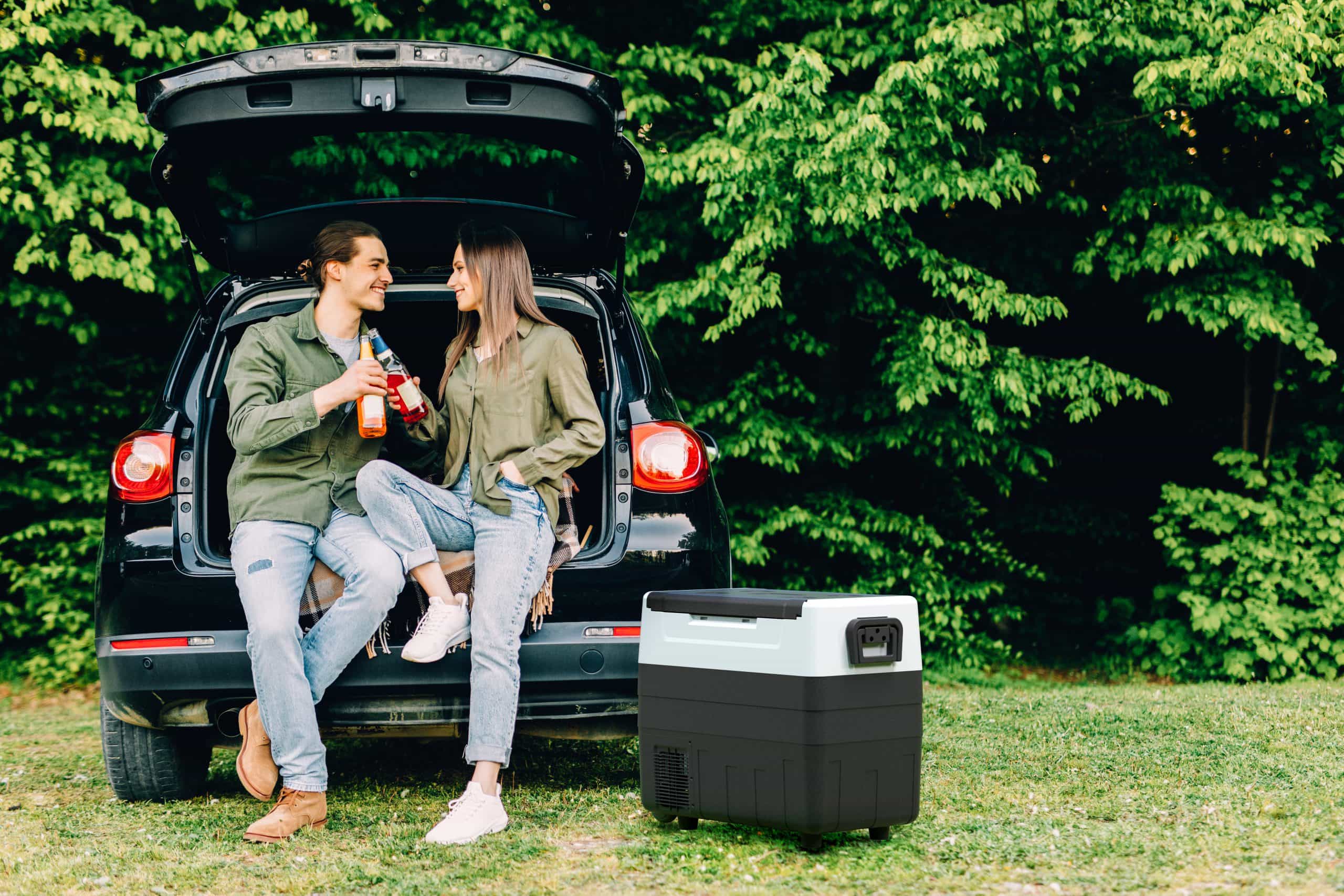 promounts-dual-zone-refrigerator-with-freezer-55liter-portable-fridge-for-camping-12-24v-dc-car-110-220v