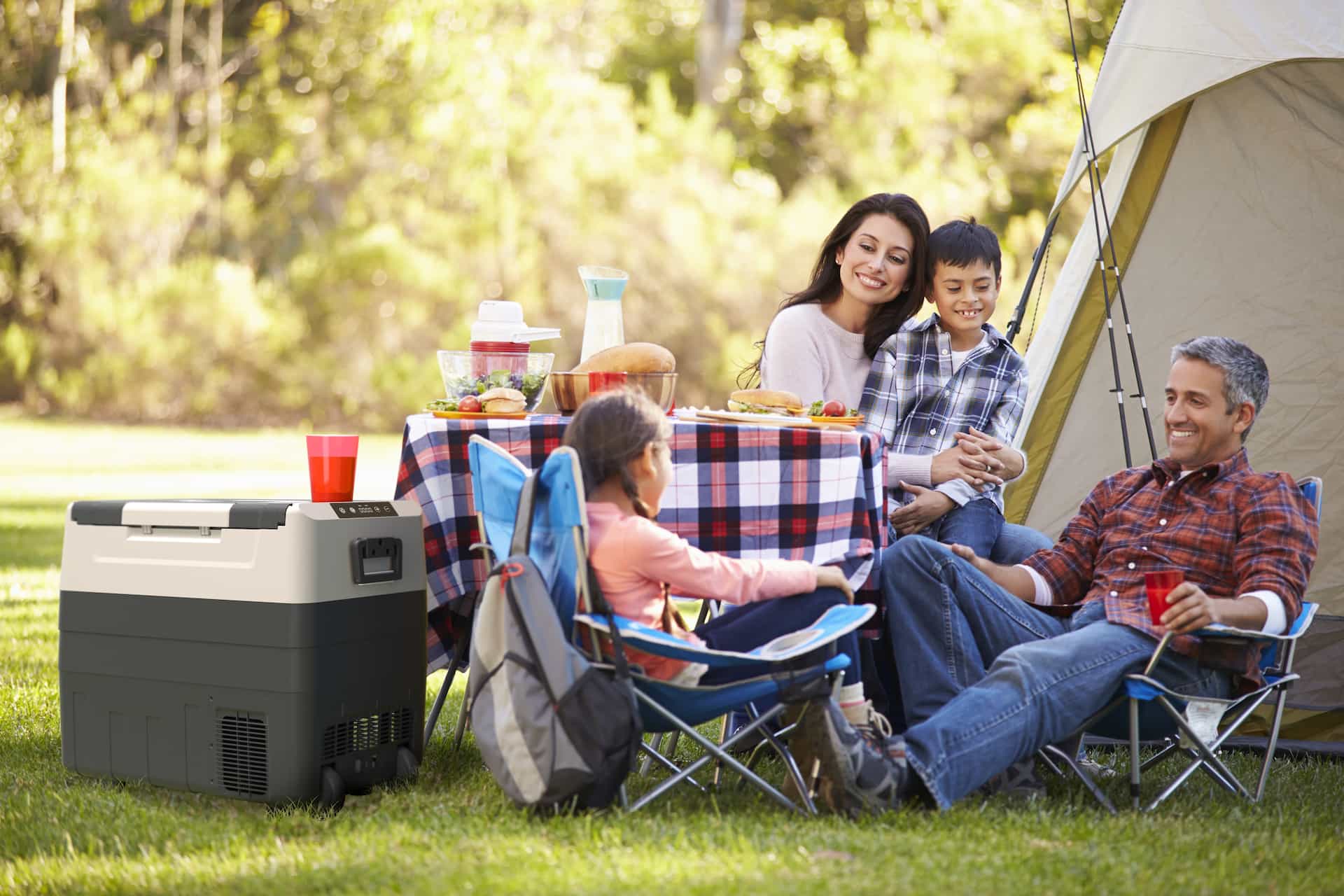 promounts-dual-zone-refrigerator-with-freezer-55liter-portable-fridge-for-camping-12-24v-dc-car-110-220v