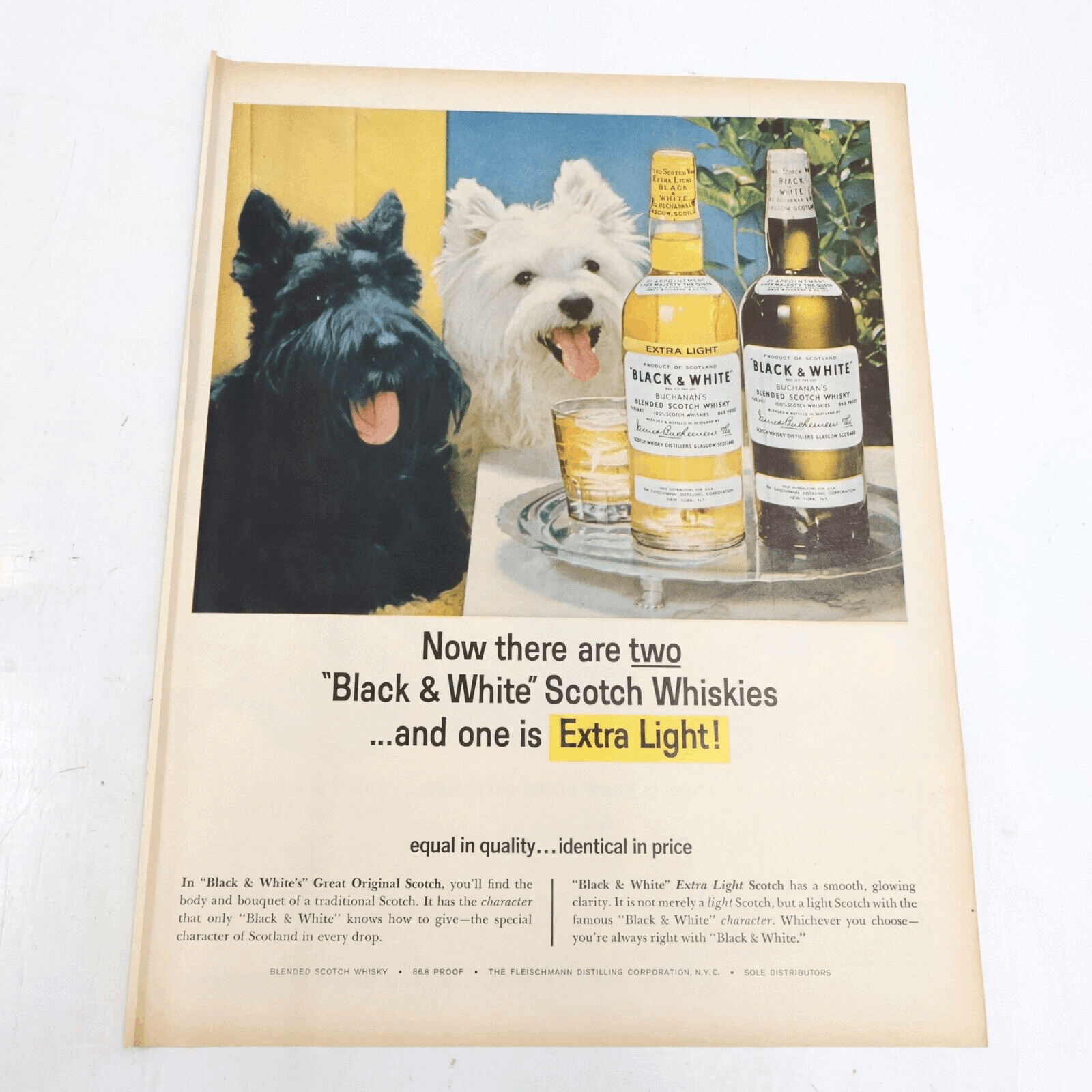 1964 Buchanan’s Scotch Whisky Scottie Dogs Wool Carpets Print Ad 10.5×13.5