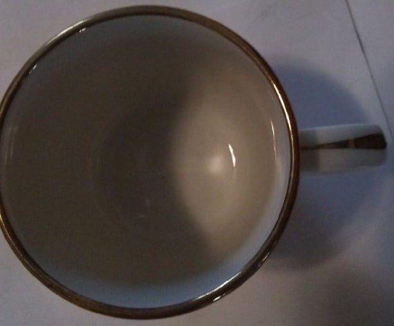 goebel-cup-saucer-china-set