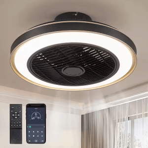 ANTOINE HD-IL-02 20 in. Indoor Black Caged Enclosed Ceiling Fan with LED Light Modern Low Profile Ceiling Fan with Remote and APP Control