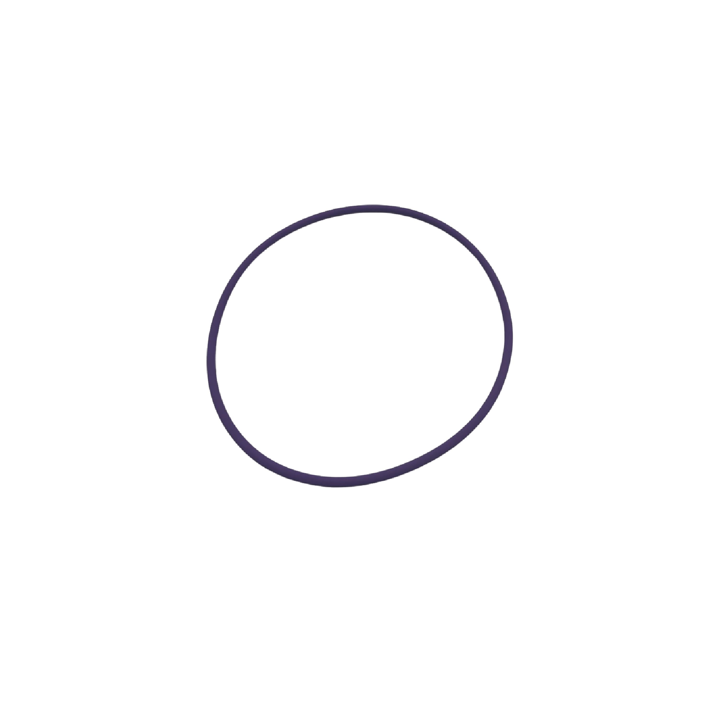 Cylinder Liner O-Ring – Color Purple – HCAB99459175