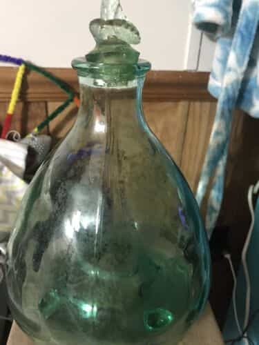 Vintage Glass Wasp Catcher