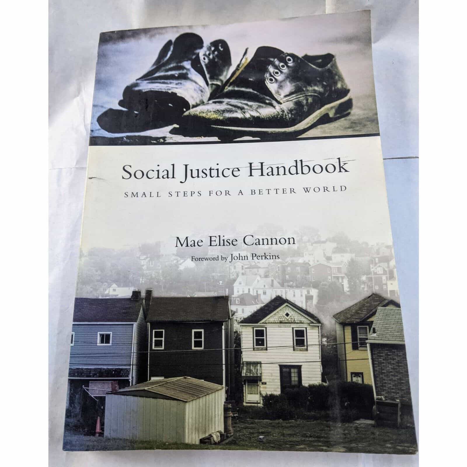 Social Justice Handbook Small Steps For A Better World by Mae Elise Cannon