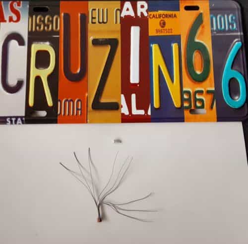 pre-wired-distributor-8-cyl-gray-tan