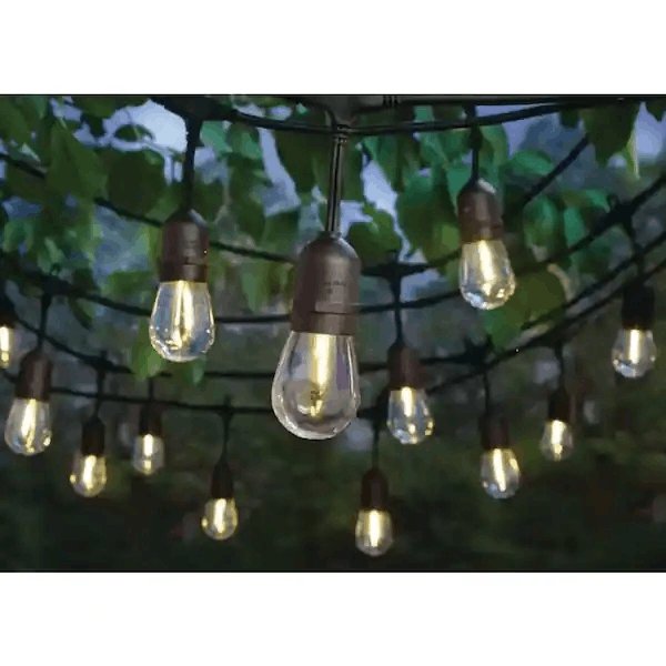 Hampton Bay 182C-24-12-B Outdoor/Indoor 24 ft. Plug-In Edison Bulb String Light