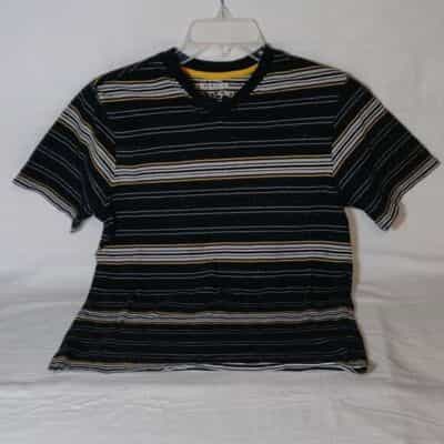 arizona-jean-co-v-neck-striped-t-shirt-lot-of-2