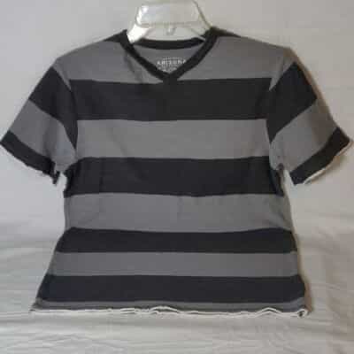 arizona-jean-co-v-neck-striped-t-shirt-lot-of-2