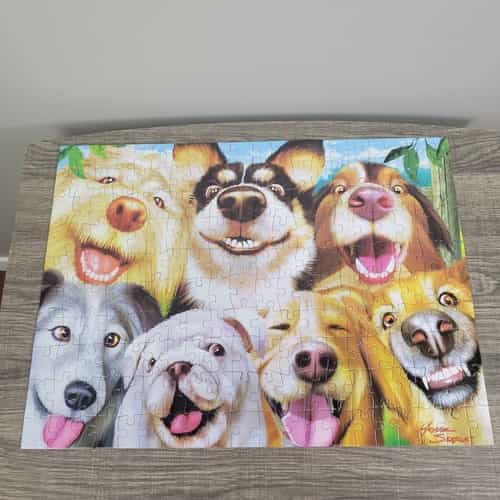 selfies-goofy-grins-2018-200-piece-jigsaw-puzzle