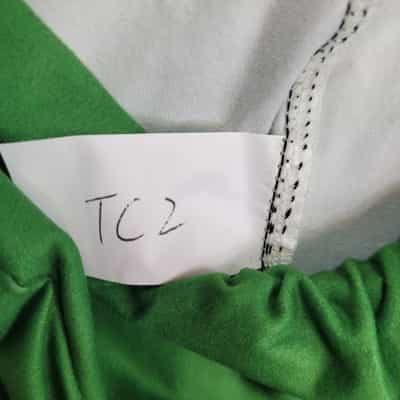 elf-pants-polyester-spandex-ankle-leggings-extended-tall-and-curvy