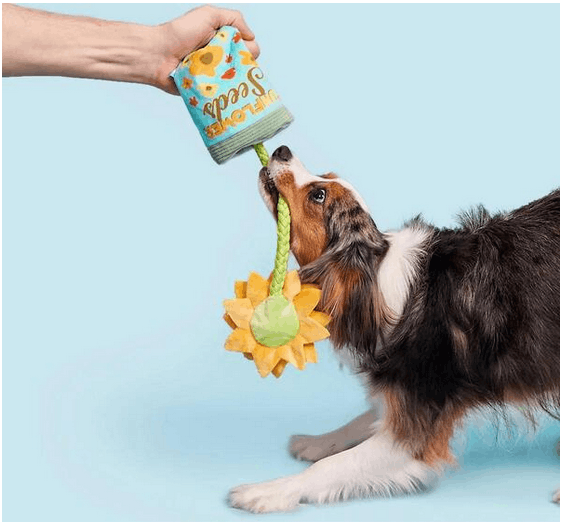 bark-box-fun-flower-seeds-rope-dog-toy