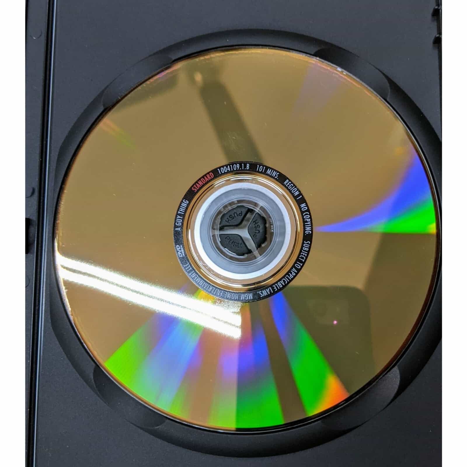 a-guy-thing-dvd-movie