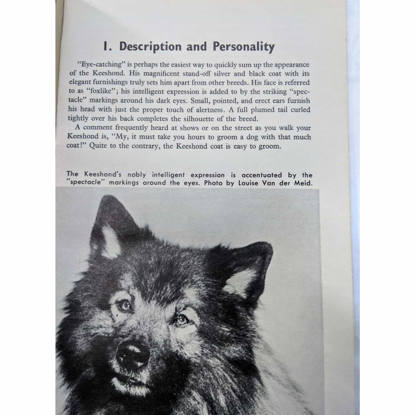 how-to-raise-and-train-a-keeshond-by-william-d-wescott-book