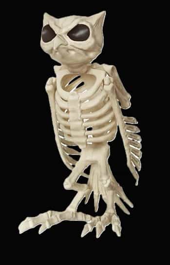 Red Shed 13.6 in. Owl Skeleton