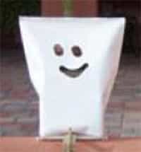 WHITE GHOST SET