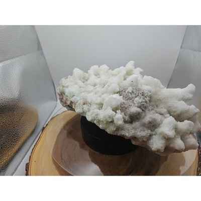 11-27lb-new-find-natural-clear-selenite-gypsum-cluster-specimen